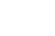 light logo
